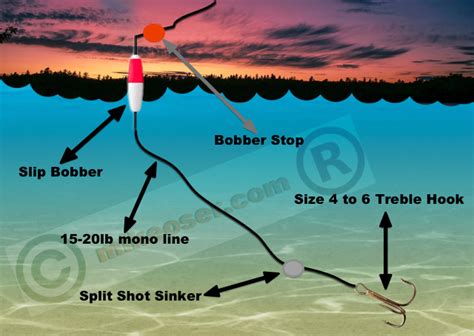 Slip Float Rig Catfish Rigs How To Catch Catfish Catfish