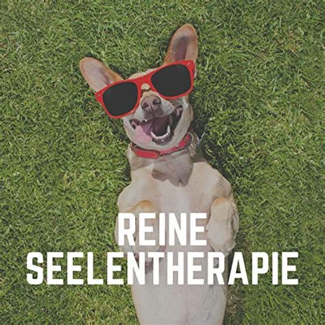 Play Reine Seelentherapie By Hundemusik Beruhigende Musik F R Hunde