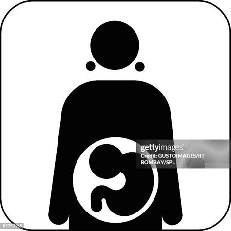 213 Foetus Black And White Stock Photos High Res Pictures And Images