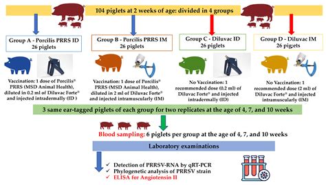 Veterinary Sciences Free Full Text Angiotensin Ii Blood Serum