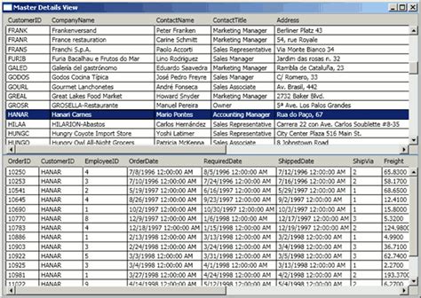 WPF DataGrid Practical Examples wpf datagrid example CSDN博客