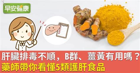 肝臟排毒不順，b群、薑黃有用嗎？藥師帶你看懂5類護肝食品