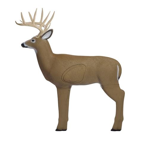 Field Logic Shooter Buck 3d Archery Target