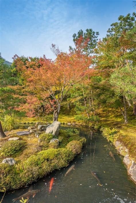 Japanese Garden in Autumn in Kyoto Stock Image - Image of early ...