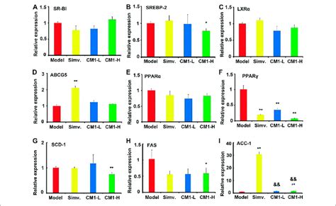 Effect Of Cm1 On The Mrna Expression Of Lipid Metabolism Related Download Scientific Diagram