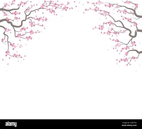 Red Cherry Blossom Tree Drawing