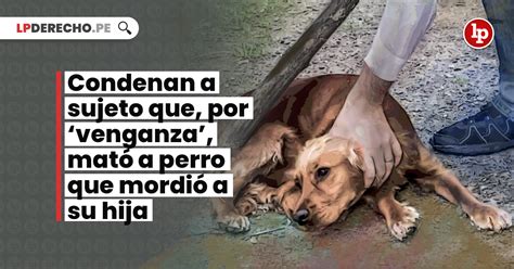 Condenan a sujeto que por venganza mató a perro que mordió a su