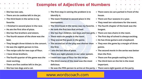 100 Examples Of Adjectives Of Number Word Coach