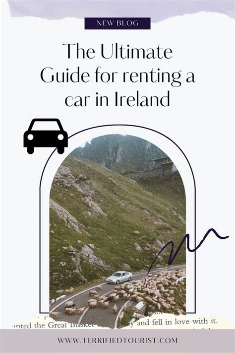 The Ultimate Guide To Renting A Car In Ireland With Sheep On The Road