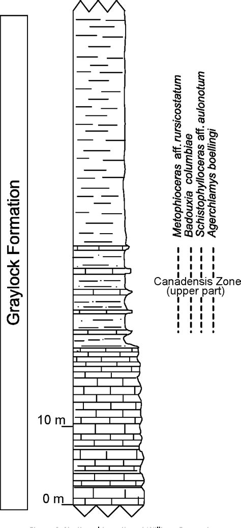 Figure 1 From The Triassic Jurassic System Boundary In The John Day Inlier East Central Oregon