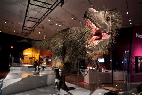 'Dinosaurs Among Us' opens at the American Museum of Natural History ...