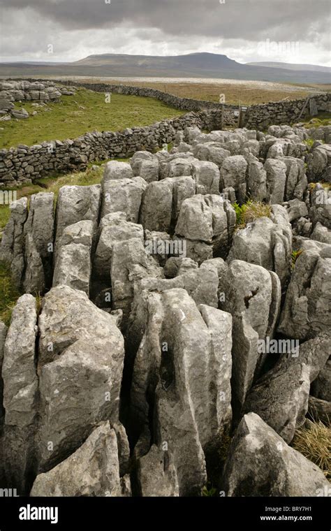 View Over Limestone Pavements To The Summit Of Pen Y Ghent Yorkshire