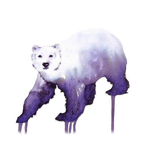 Polar Bear Watercolor at PaintingValley.com | Explore collection of Polar Bear Watercolor