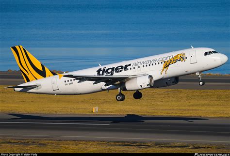 VH VNO Tiger Airways Australia Airbus A320 232 Photo By Victor Pody