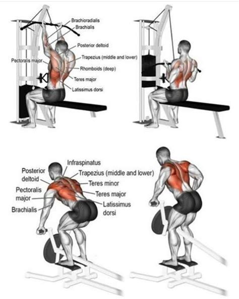 Lat Pulldown Vs Seated Row Major Differences Explained Inspire Us Seated Row