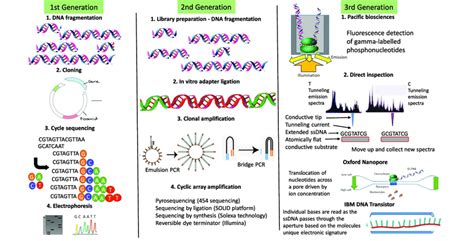 Dna Sequencing Technology