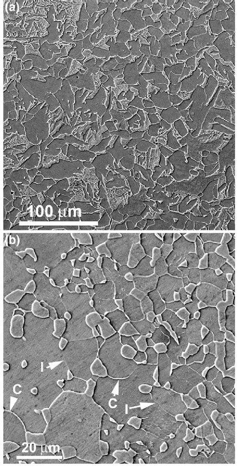 Sem Micrographs Of The Steel Samples Annealed A At C In The