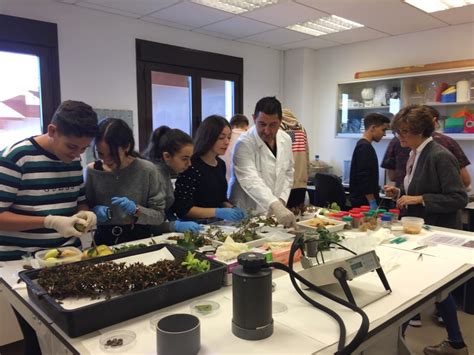 Visita a la Estación Experimental de Zonas Áridas