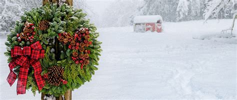 Lynch Creek Farm: Fresh Christmas Wreaths, Centerpieces and Gifts