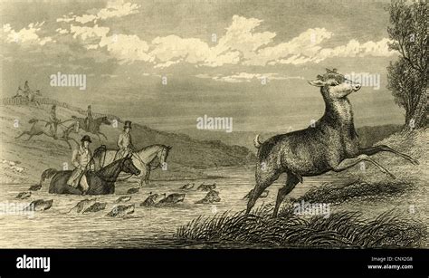 Hunting 1870 Hi Res Stock Photography And Images Alamy