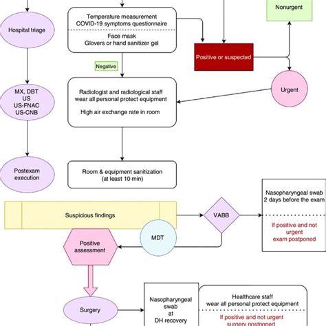 Flowchart Outlining Prehospitalization Inhospital And Posthospital Download Scientific Diagram