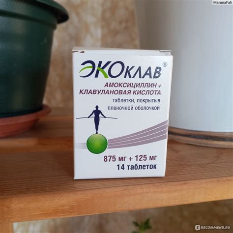 Экоклав Цена – Telegraph