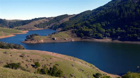 Marin Voice: Marin Municipal Water District should seek solutions, not ...