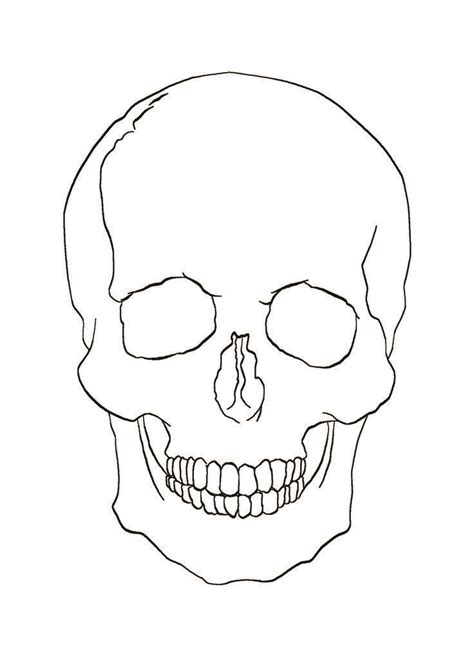 Skulls drawing, Line drawing, Human skull anatomy