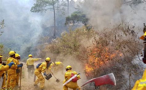 Incendios Han Destruido Unas 2000 Hectáreas De Bosque En Guatemala