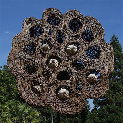 Lotus Seed Pod Seed Pods Art Earth Art Seed Pods