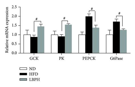 LBP Prevents HFD Induced Insulin Resistance And Modulates Glucose