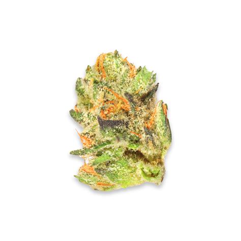 Italian Ice Strain – Weed.com