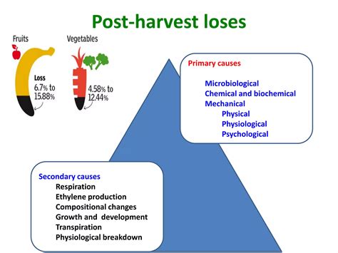 Post-harvest physiological approaches for preservation of Fruits and