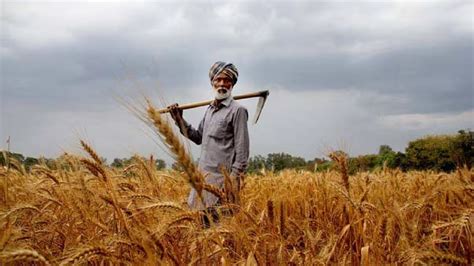 Increase In Minimum Support Prices Msp For Rabi Crops In 2024 25