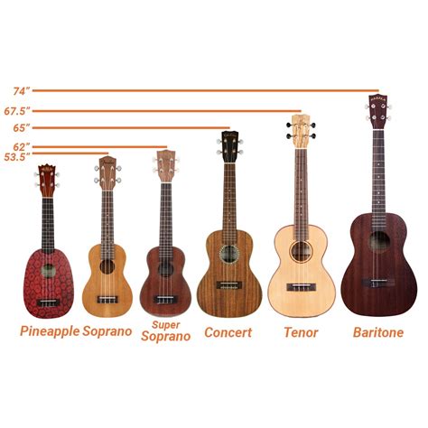 Ukulele Size Guide Most Common Ukulele Sizes Cordoba 40 Off