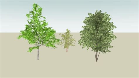 Trees 3d Warehouse