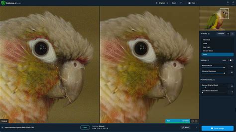 Introducing The New Denoise Ai Raw Model Providing The Cleanest Image