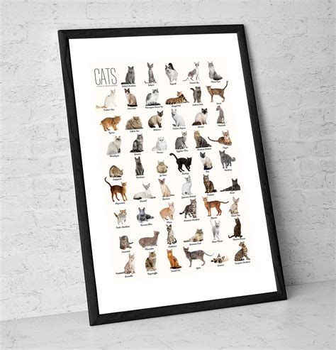 Cat Breeds Art Print Cat Wall Art Cat Poster Cat - Etsy