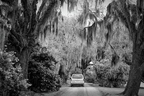 Traveling Avery Island Louisiana Black White Photograph By Chuck Kuhn