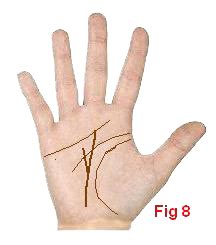 ASTRO~PALMISTRY READINGS: FATE LINE - UPS AND DOWNS IN CAREER