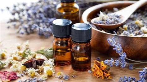 Essential Oils 101 Lifelong Wellness