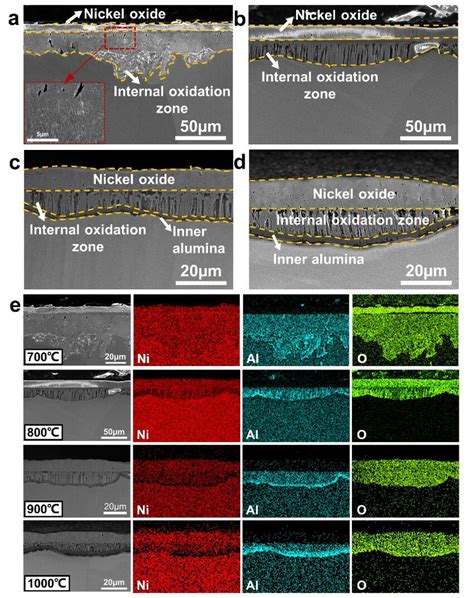 Cross Sectional Microstructures SE Images Of Oxide Scales Formed On