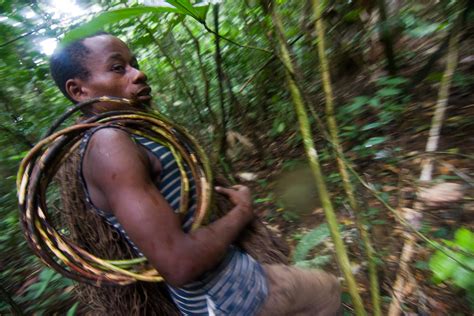 BAKA PYGMY PEOPLE THE RENOWNED PYGMY PEOPLE OF CAMEROON GABON AND