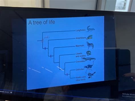 Principles Of Evolution Flashcards Quizlet