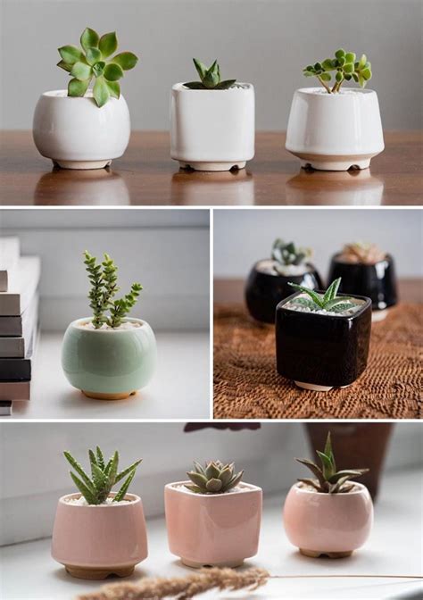 9 Modern Succulent Pots To Show Off Your Tiny Plants