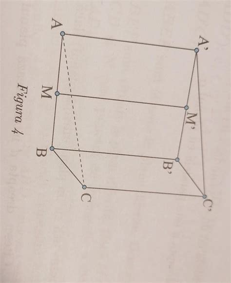 Se Consider Abca B C O Prism Dreapt Cu Baza Triunghi Echilateral