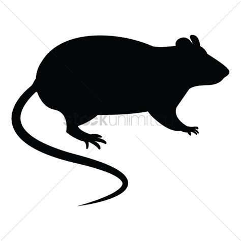 Rat Vector At Getdrawings Free Download