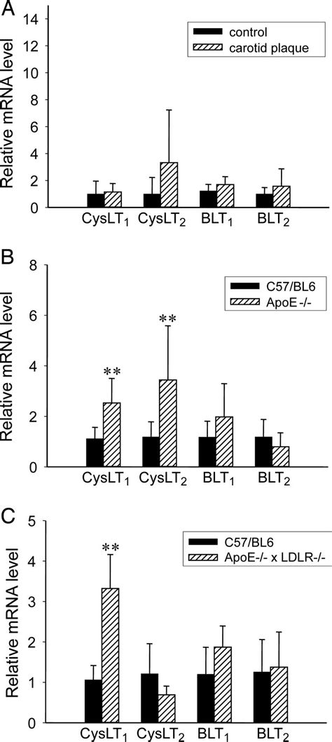 Expression Of LT Receptor MRNA In Human Carotid Plaques And In Aortic