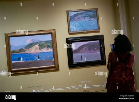 View Of The Exhibition Of Sorolla Traveling To Paint Another Vision