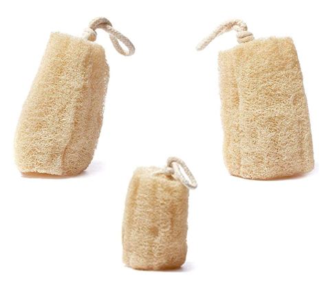 The 5 Best Loofahs